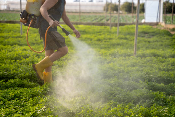Best Best Pest Control Companies  in Kensington, CT