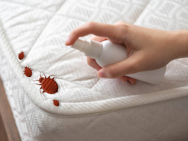 Trusted Kensington, CT Pest Control Experts