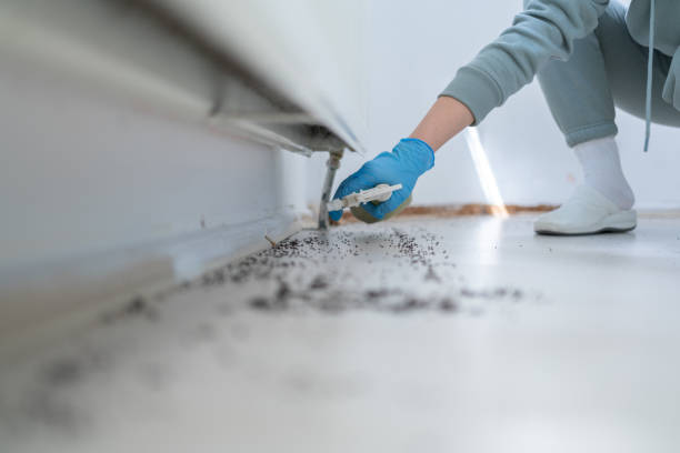 Best Best Pest Control Companies  in Kensington, CT